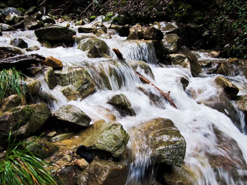 Photo of a large waterfall at Uvas Canyon