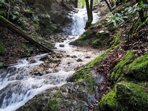 Photo of a waterfall at Uvas Canyon