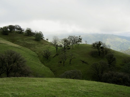 Photo of the landscape at Ohlone Wilderness