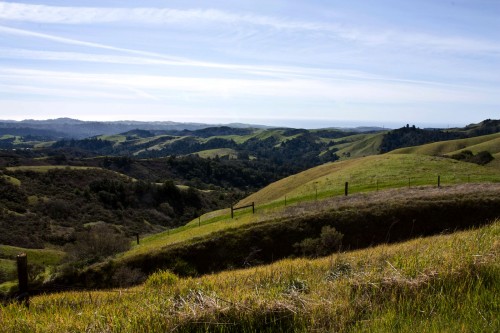 Photo of grassy hills at Windy Hill