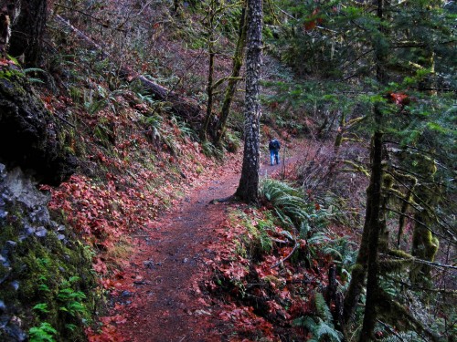 Photo of fall colors at Eagle Creek