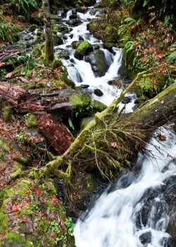 Photo of a waterfall at Eagle Creek trail