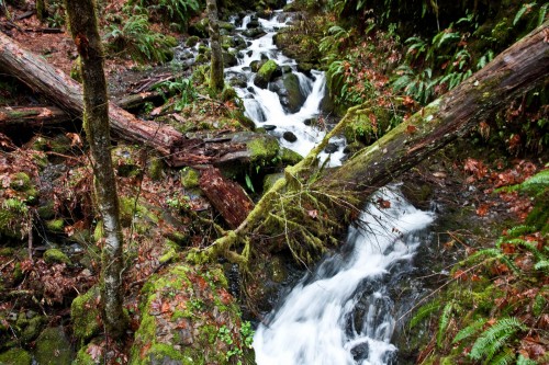 Photo of a waterfall at Eagle Creek trail