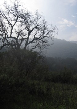 Photo of winter at Quicksilver Park