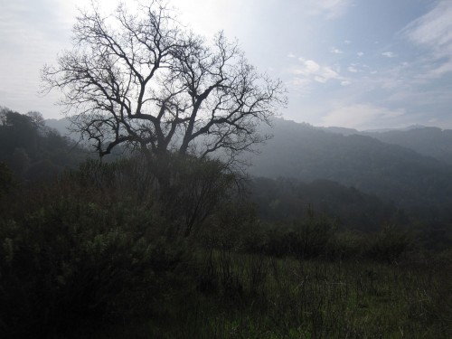 Photo of winter at Quicksilver Park