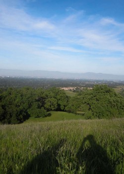 Photo of the views along Wildcat Canyon Trail