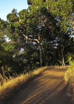 Photo of the Black Mountain Trail