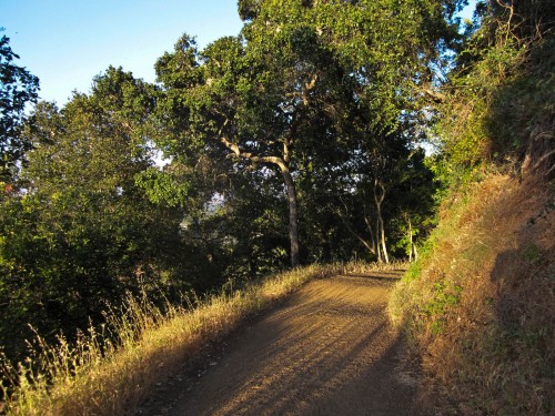 Photo of the Black Mountain Trail