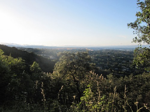 Photo of bay views on the Black Mountain trail