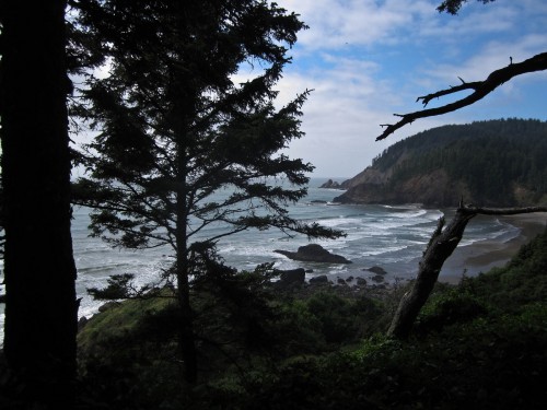 Photo of a scenic overlook near Ecola Point