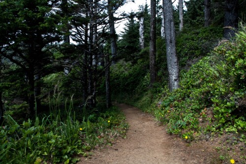 Photo of the winding trail near Ecola Point