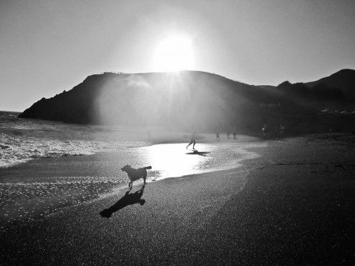Photo of Rodeo Lagoon