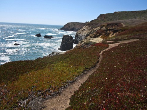 Photo of the Coastal Trail