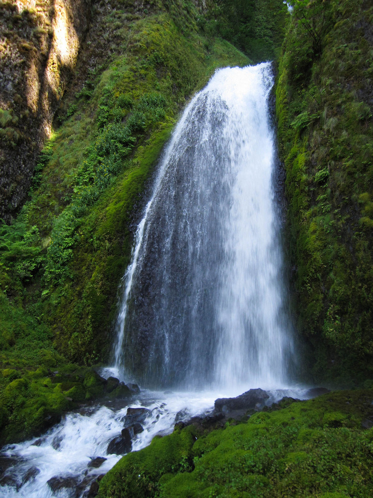 Multnomah Wahkeena Falls Loop - Upward Trajectory