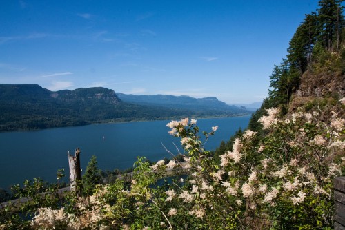 Photo of an overlook along our Multnomah Falls hike