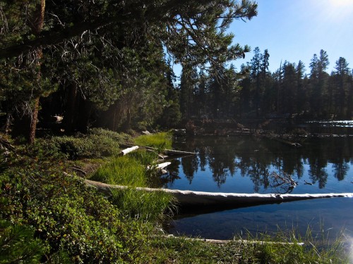 Photo of some water reflections at Jenny Lakes
