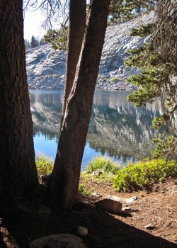 Photo of the morning at our campsite at Jennie Lakes