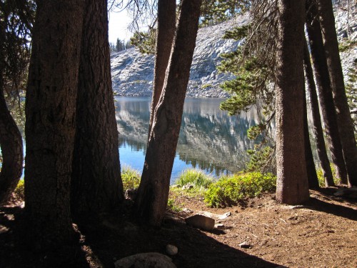 Photo of the morning at our campsite at Jennie Lakes