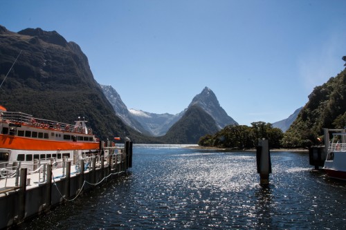 Photo of Milford Sound after completing the Milford Track