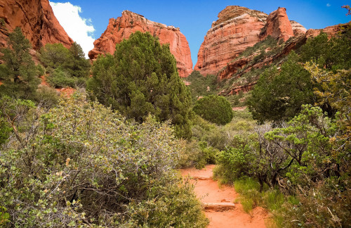 Boynton Canyon Trail views