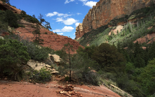 The end of the trail at Boynton Canyon