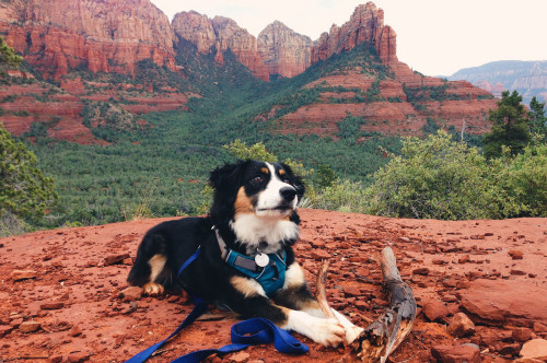 Photo stop along Brin's Mesa Trail