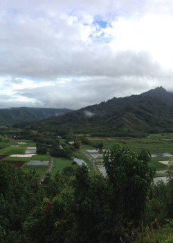 Hanalei River Valley - Kauai