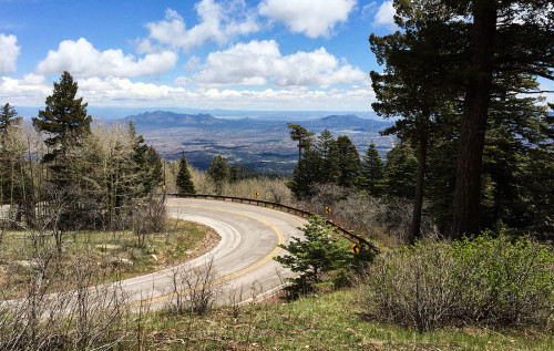Challenge and 10K Trail in the Sandias
