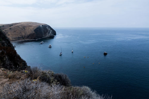 channel-islands-boats