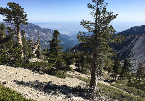 Views approaching Mount Baldy