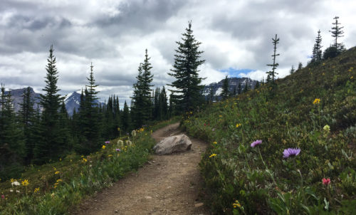 along Helen Lake Trail